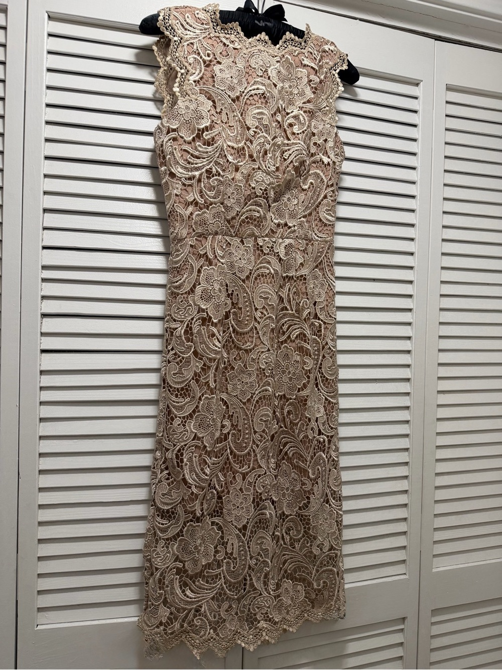 Dress the Population Beige Lace Midi Dress - Picture 7 of 16